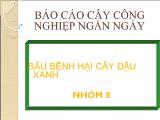 Báo cáo Sâu bệnh hại cây đậu xanh