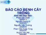 Báo cáo Sự lưu tồn, lan truyền của nấm pyricularia oryzae gây bệnh đạo ôn lúa và biện pháp quản lí tổng hợp