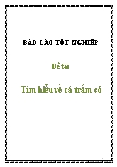 Báo cáo Tìm hiểu về cá trắm cỏ