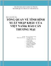 Báo cáo Tổng quan về tình hình xuất nhập khẩu của Việt Nam và rào cản thương mại
