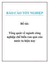 Báo cáo Tổng quát về ngành công nghiệp chế biến rau quả của nước ta hiện nay