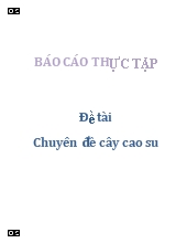 Chuyên đề cây cao su