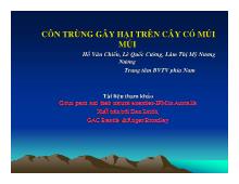 Chuyên đề Côn trùng gây hại trên cây có múi