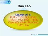 Chuyên đề Phân tích sự hình thành và phát triển của mô hình ipm cho cây lúa