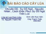 Chuyên đề Sự đổ ngã , nguyên nhân , cách khắc phục sự đổ ngã trên lúa
