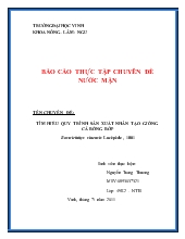 Đề án Tìm hiểu quy trình sản xuất nhân tạo giống cá bống bớp