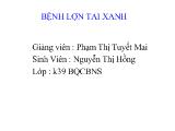 Đề tài Bệnh lợn tai xanh