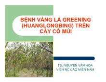 Đề tài Bệnh vàng lá greening (huanglongbing) trên cây có múi