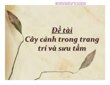 Đề tài Cây cảnh trong trang trí và sưu tầm