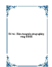 Đề tài Hiện trạng nền nông nghiệp vùng đồng bằng sông Hồng