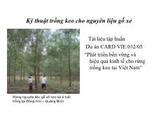 Đề tài Kỹ thuật trồng keo cho nguyên liệu gỗ xẻ
