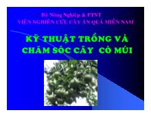 Đề tài Kỹ thuật trồng và chăm sóc cây có múi
