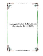 Đề tài Lượng giá tổn thất do biến đổi khí hậu toàn cầu đối với Hà Nội