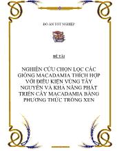 Đề tài Nghiên cứu chọn lọc các giống macadamia thích hợp với điều kiện vùng tây nguyên và khảnăng phát triển cây macadamia bằng phương thức trồng xen