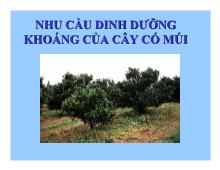 Đề tài Nhu cầu dinh dưỡng khoáng của cây có múi