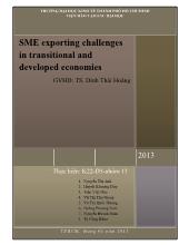 Đề tài SME exporting challenges in transitional and developed economies