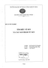 Đồ án Tìm hiểu về sen và các sản phẩm từ sen