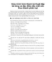 Giáo trình hình thành kỹ thuật đập bê tông và đặc điểm địa chất nền theo thành phần hạt