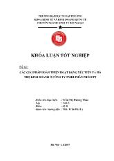 Khóa luận Các giải pháp hoàn thiện hoạt động xúc tiến và hỗ trợ kinh doanh ở công ty TNHH phân phối FPT