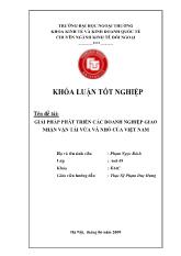 Khóa luận Giải pháp phát triển các doanh nghiệp giao nhận vận tải vừa và nhỏ của Việt Nam