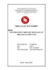 Khóa luận Giải pháp phát triển hệ thống bán lẻ hiện đại tại Việt Nam