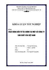 Khóa luận Hoạt động đầu tư Tài chính tại một số công ty sản xuất của Việt Nam