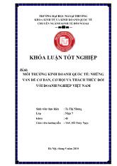 Khóa luận Môi trường kinh doanh quốc tế: những vấn đề cơ bản, cơ hội và thách thức đối với doanh nghiệp Việt Nam