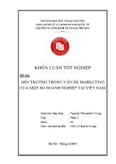 Khóa luận Môi trường trong vấn đề marketing của một số doanh nghiệp tại Việt Nam