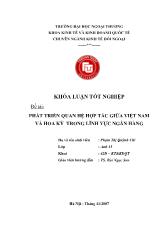 Khóa luận Phát triển quan hệ hợp tác giữa Việt Nam và hoa kỳ trong lĩnh vực ngân hàng