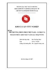 Khóa luận Thị trường phân phối Việt Nam - Cơ hội và thách thức khi Việt Nam gia nhập WTO