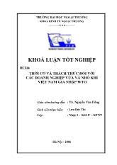 Khóa luận Thời cơ và thách thức đối với các doanh nghiệp vừa và nhỏ khi Việt Nam gia nhập WTO