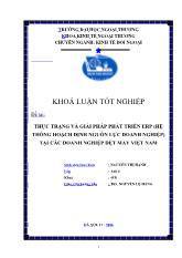 Khóa luận Thực trạng và giải pháp phát triển ERP (hệ thống hoạch định nguồn lực doanh nghiệp) tại các doanh nghiệp dệt may Việt Nam