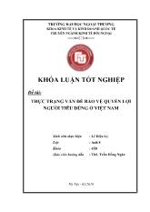 Khóa luận Thực trạng vấn đề bảo vệ quyền lợi người tiêu dùng ở Việt Nam
