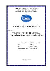 Khóa luận Thương mại điện tử Việt Nam các giải pháp phát triển bền vững