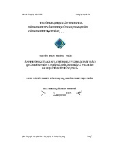 Luận văn Ảnh hưởng của gia vị, chế độ sấy và hoá chất bảo quản đến chất lượng sản phẩm khô cá tra tẩm gia vị chế biến từ vụn cá