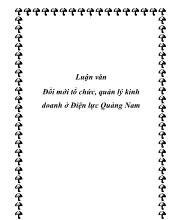 Luận văn Đổi mới tổ chức, quản lý kinh doanh ở Điện lực Quảng Nam