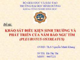 Luận văn Khảo sát điều kiện sinh trưởng và phát triển của nấm bào ngư tím ( Pleurotus ostreatus)