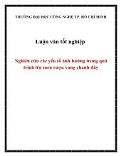 Luận văn Nghiên cứu các yếu tố ảnh hưởng trong quá trình lên men rượu vang chanh dây