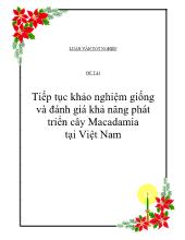Luận văn Tiếp tục khảo nghiệm giống và đánh giá khả năng phát triển cây Macadamia tại Việt Nam