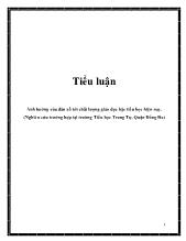 Tiểu luận Ảnh hưởng của dân sỗ tới chất lượng giáo dục bậc tiểu học hiện nay. (Nghiên cứu trường hợp tại trường Tiểu học Trung Tự, Quận Đống Đa)