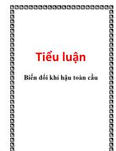 Tiểu luận Biến đổi khí hậu toàn cầu