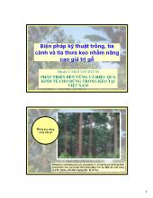 Tiểu luận Biện pháp kỹ thuật trồng, tỉa cành và tỉa thưa keo nhằm nâng cao giá trị gỗ