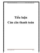 Tiểu luận Cán cân thanh toán