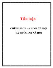 Tiểu luận Chính sách an sinh xã hội và phúc lợi xã hội