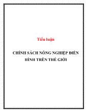 Tiểu luận Chính sách nông nghiệp điển hình trên thế giới