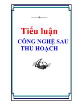 Tiểu luận Công nghệ sau thu hoạch rau quả