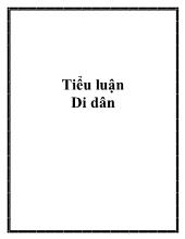 Tiểu luận Di dân