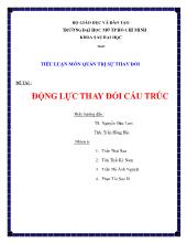 Tiểu luận Động lực thay đổi cấu trúc