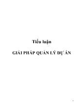 Tiểu luận Giải pháp quản lý dự án