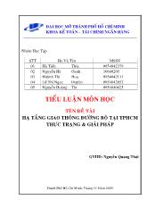 Tiểu luận Hạ tầng giao thông đường bộ tại tp HCM thực trạng và giải pháp